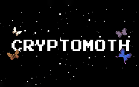 The CryptoMoth is a collection of 10,000 randomly generated Moths.

										There are 14 attributes in total, of which 8 are the minimum, with a total of 217 unique features.

										CryptoMoth members benefit from a whole list of perks including access to curator community, airdrops, early access to the game and whitelist to pre-sale SLK token. Directly participation in future updates.

										Who's gonna be the lucky one to have a special moth with all of the 14 attributes? Or a unique moth? Or even a full-set one?